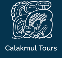Calakmul Tours Mexico, book tours in Calakmul